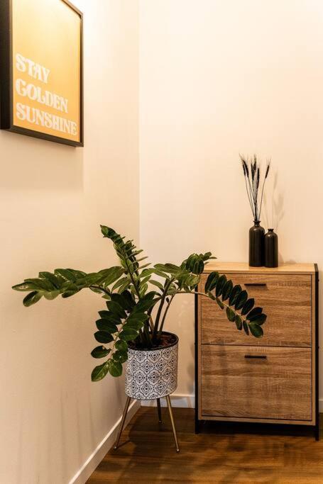 Apartamento Le Cocon Retro-Chic A La Capitale Saint-Denis Exterior foto